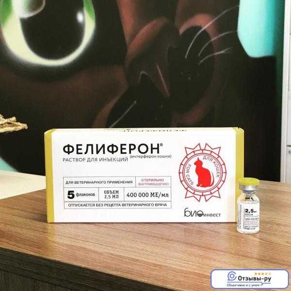 Интерферон для кошек инструкция