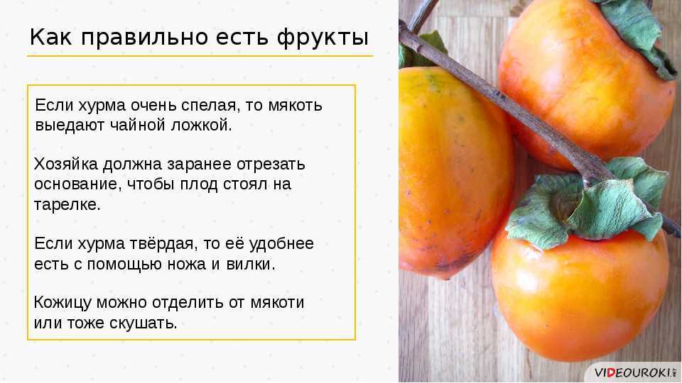 Можно ли собаке давать хурму