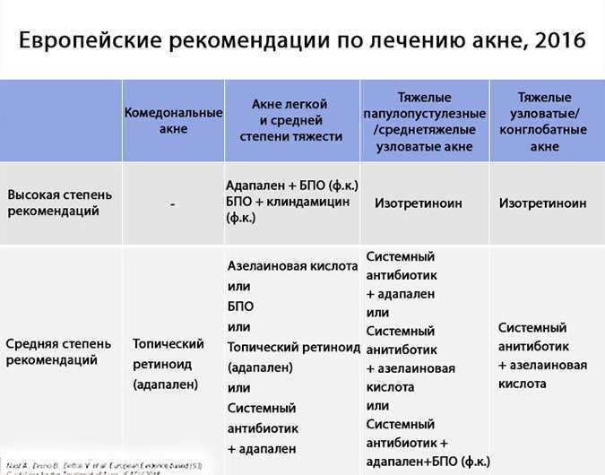 Акне у кошек: боремся с черными точками