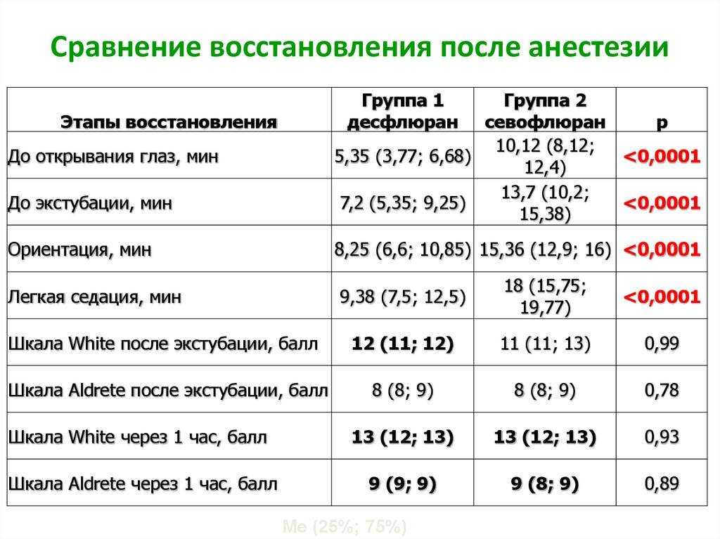 Собака после операции: уход и реабилитация по шагам