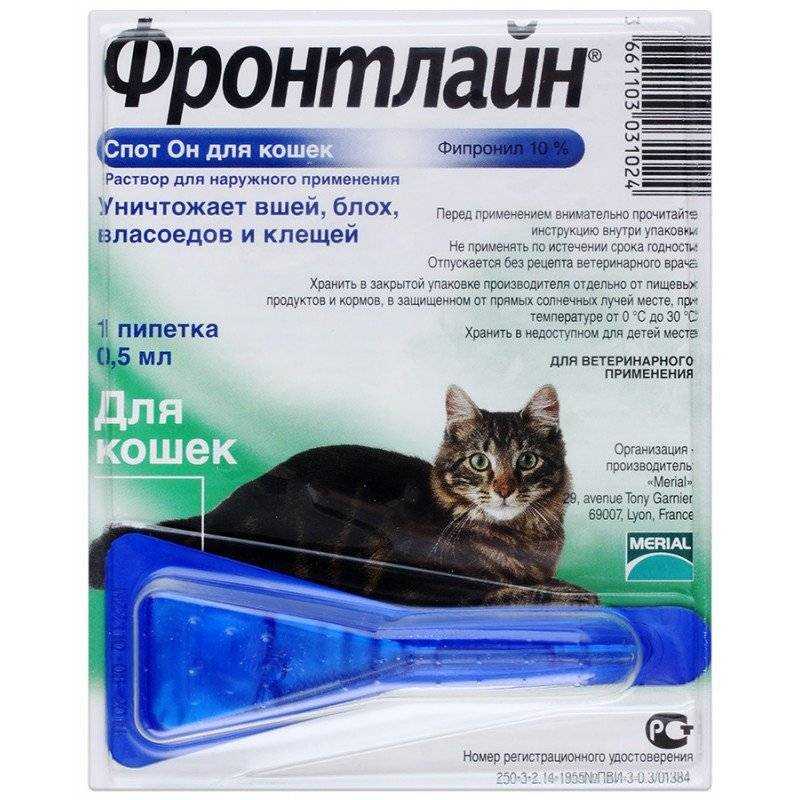 Ушной клещ у кошек: лечение и симптомы