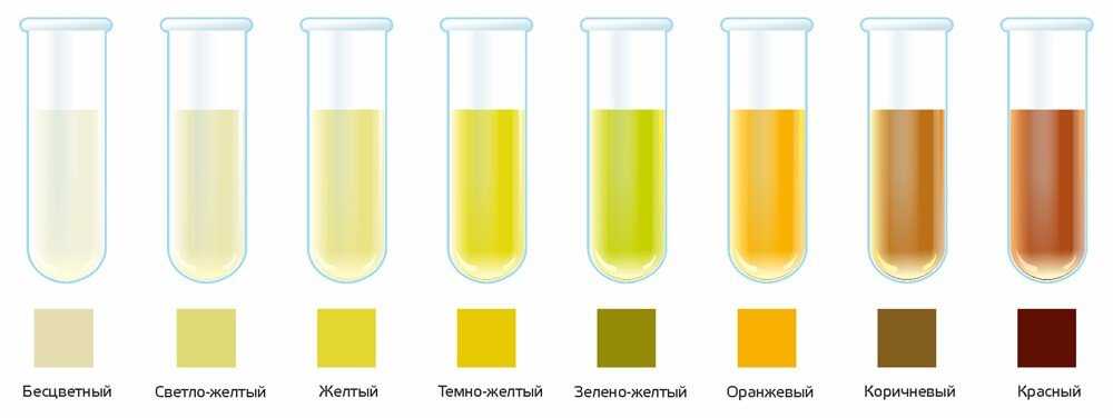 Если моча кота пахнет аммиаком — причины, чем это опасно и что делать