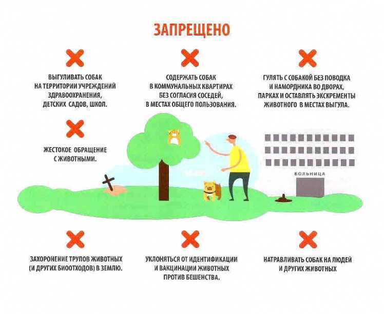 Памятка для владельцев домашних животных в сельском поселении
