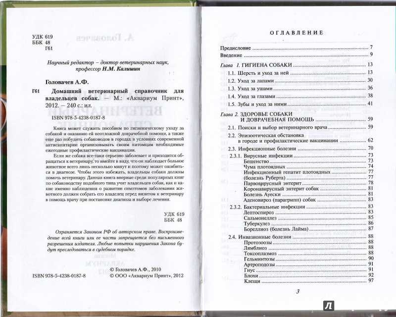 Воспаление яичек у собаки: первые признаки и лечение