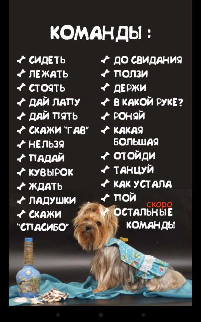Акции