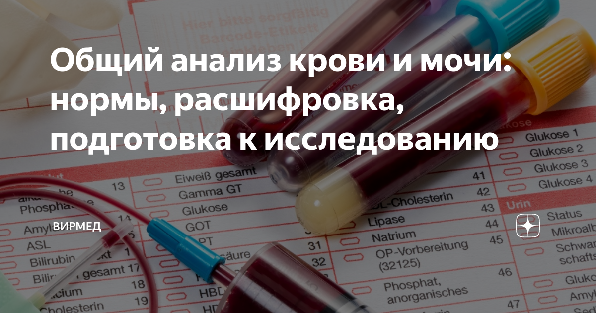Повышенный уровень кфк у собаки: причины, симптомы и методы лечения