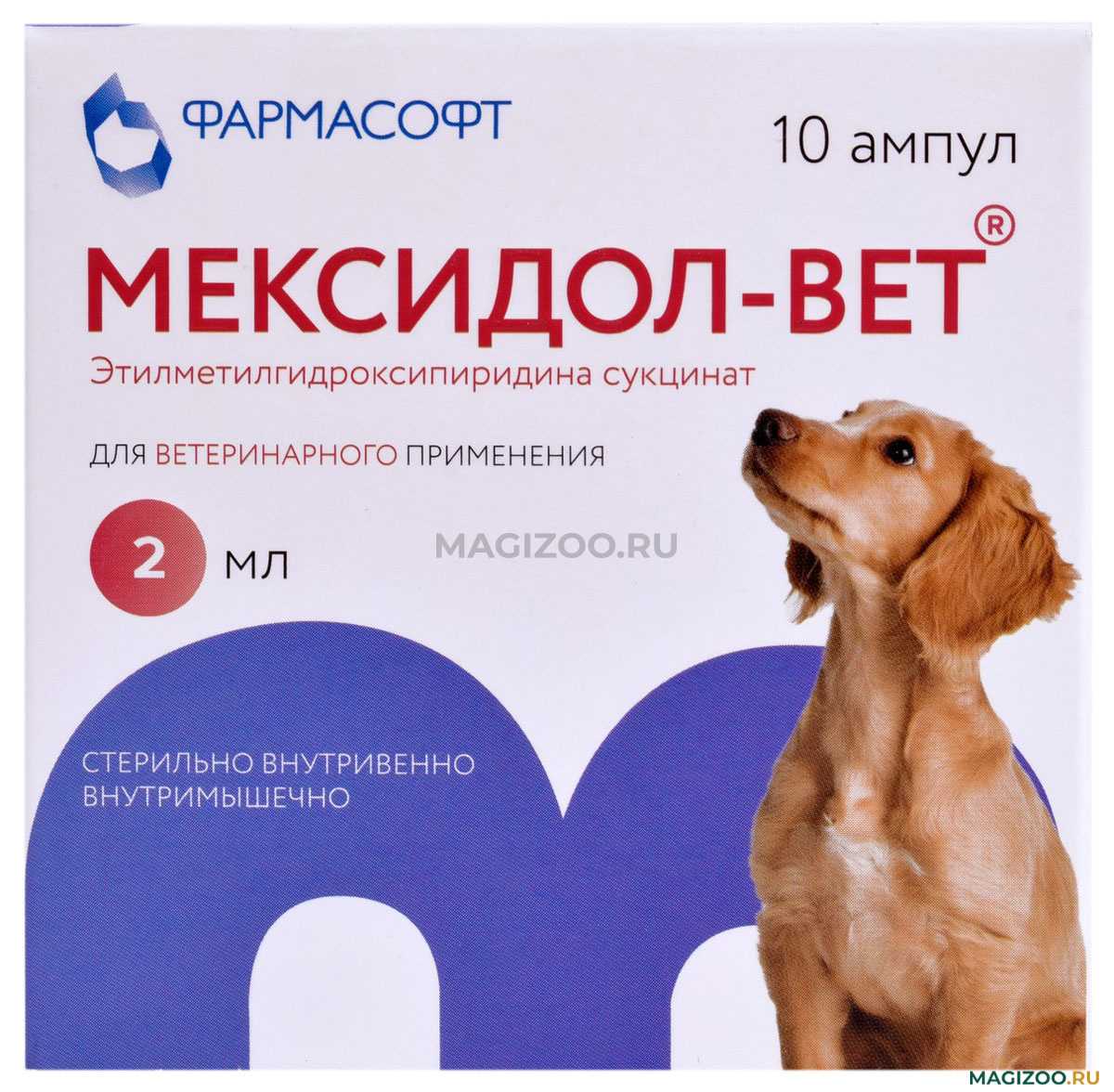 Мексидол Вет для кошек состав действие форма выпуска Лечение подбор доз схемы лечения особенности применения побочные эффекты противопоказания