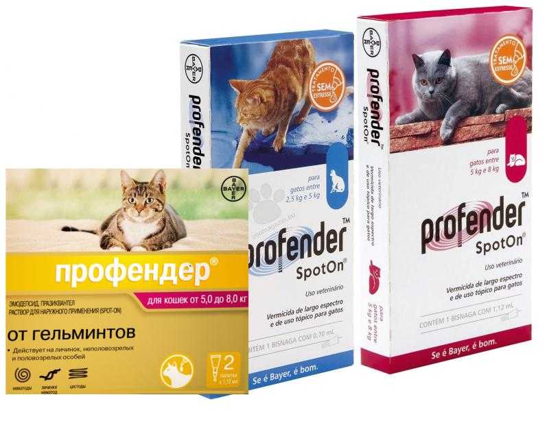 Инструкция по применению препарата профендер для кошек