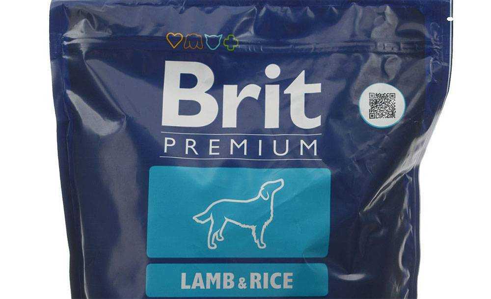Подробный обзор сухих и влажных кормов brit для котят и взрослых котов