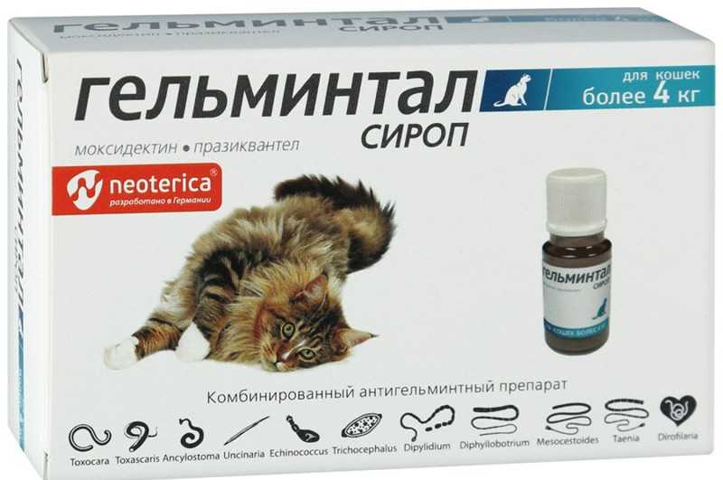 Как проводить дегельминтизацию у кошек - wikihow