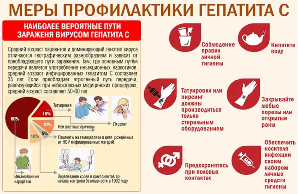 Болеют ли собаки: человеческими болезнями - ветрянкой, гепатитом с, туберкулезом, простудными заболеваниями, а также может ли у животного болеть горло, зубы, голова?