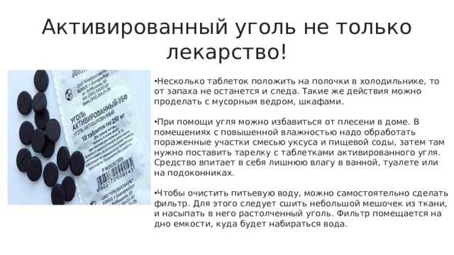 Отравление у кошки: симптомы, лечение, чем может отравиться кот - zoosecrets