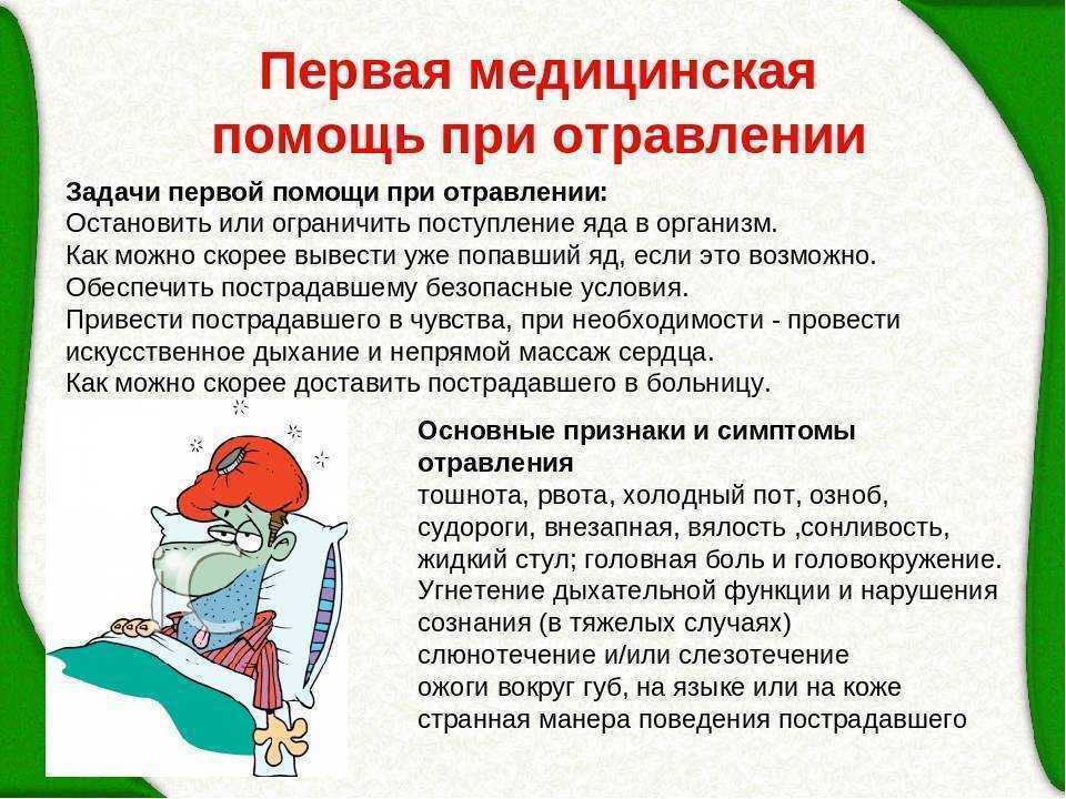 Чем обработать рану коту в домашних условиях: действия владельца