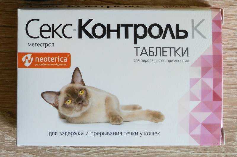 Течка у кошки свидетельствует о половой зрелости питомца Узнайте о продолжительности и периодичности процесса а также о плюсах и минусах стерилизации