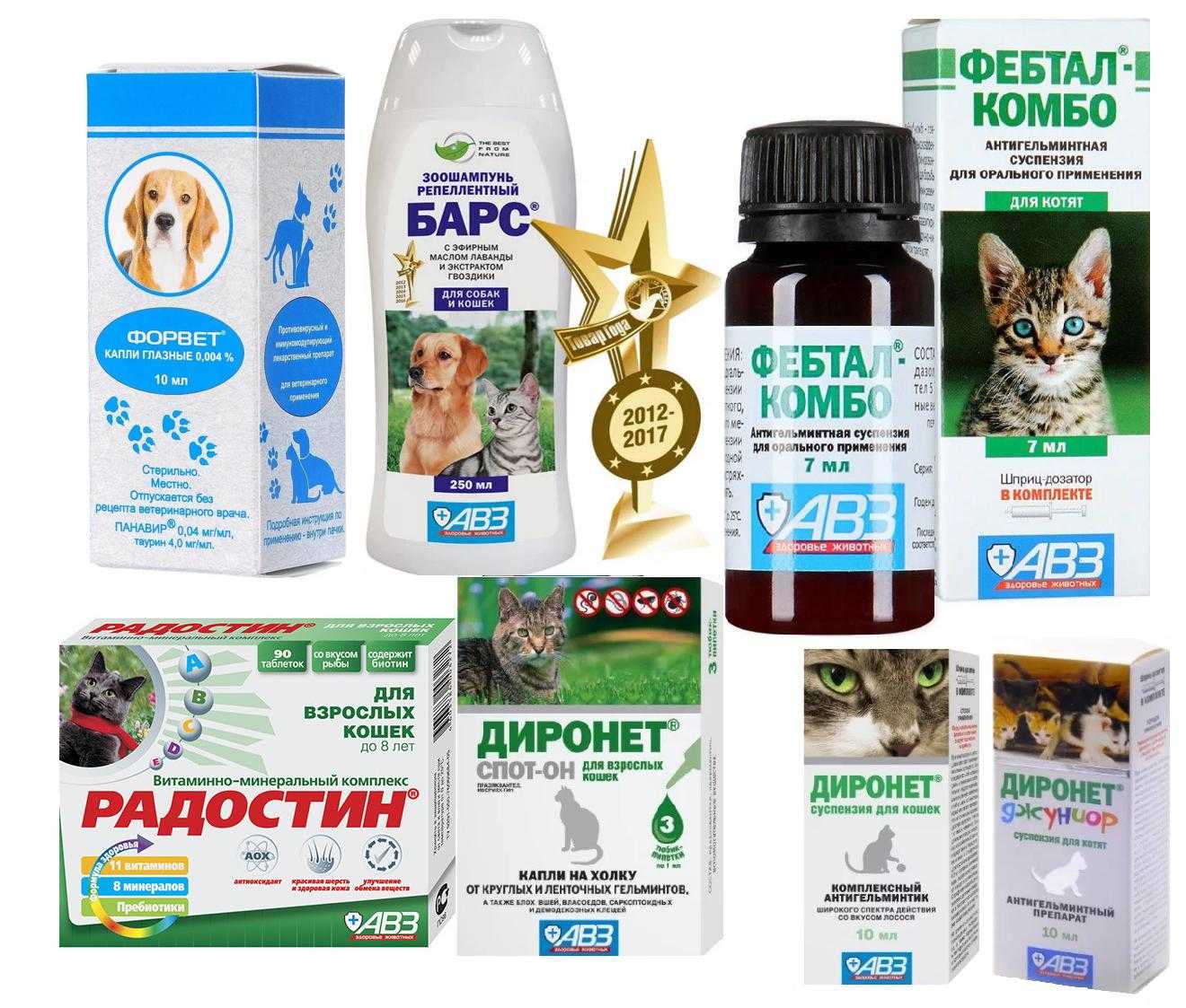 «форвет» для собак и кошек: инструкция по применению