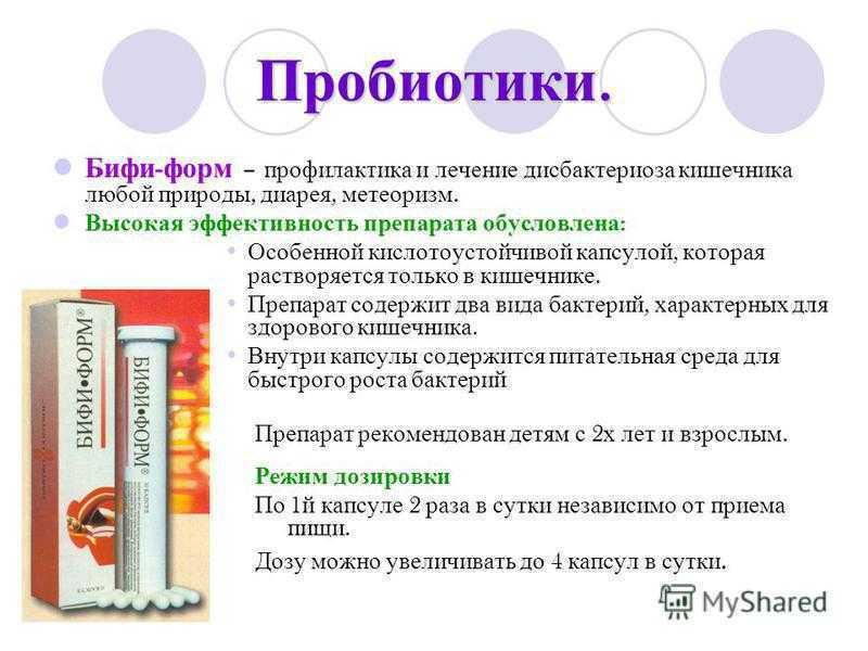 Дисбактериоз кишечника у животных — симптомы и лечение