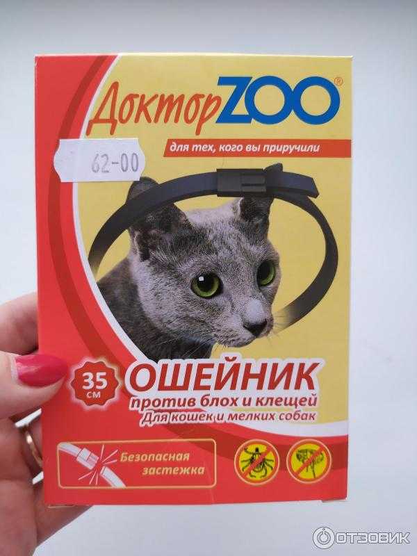Ошейник от блох для кошек