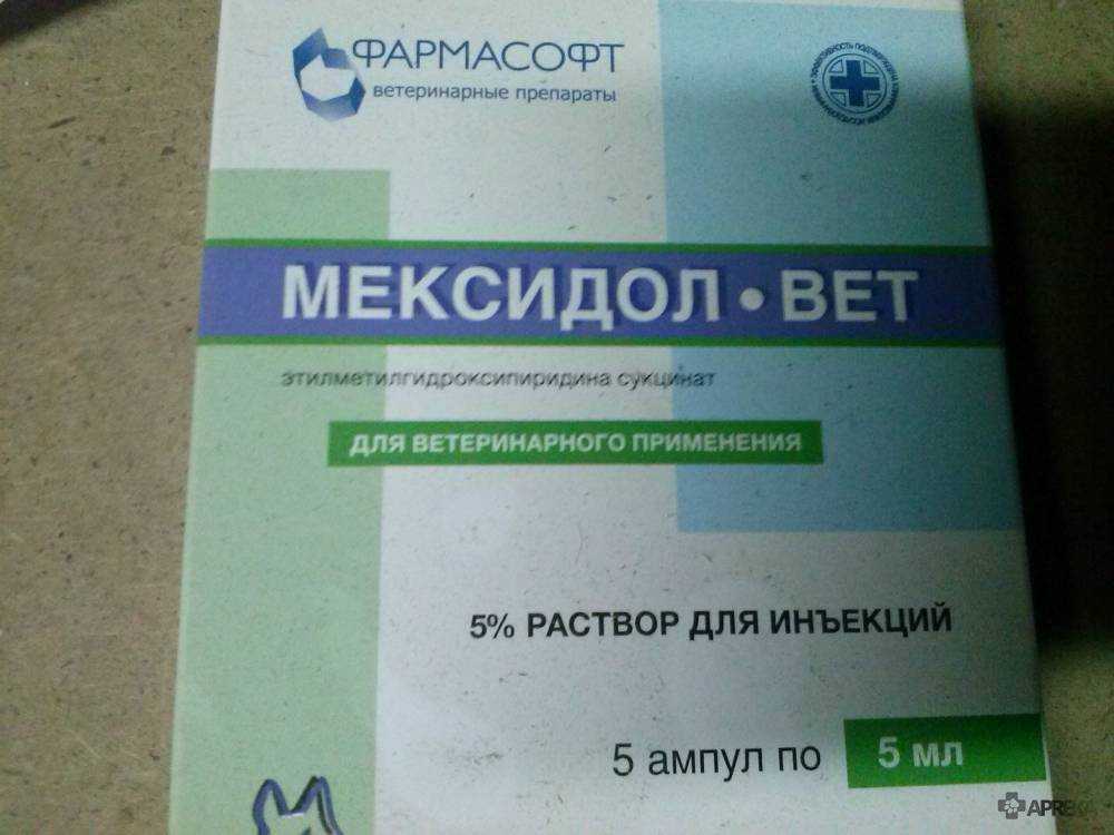 Мексидол-вет для кошек и собак — инструкция по применению
