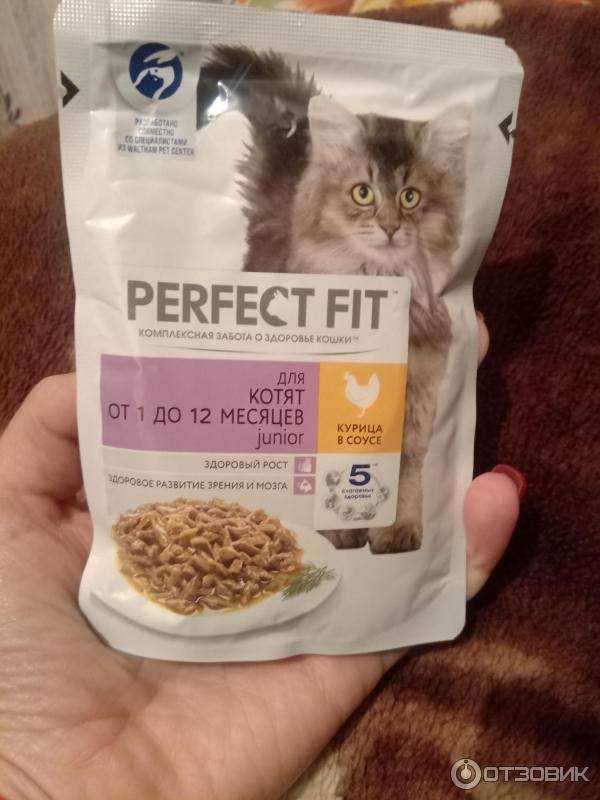 Честный обзор сухих и влажных кормов от perfect fit для котов и котят