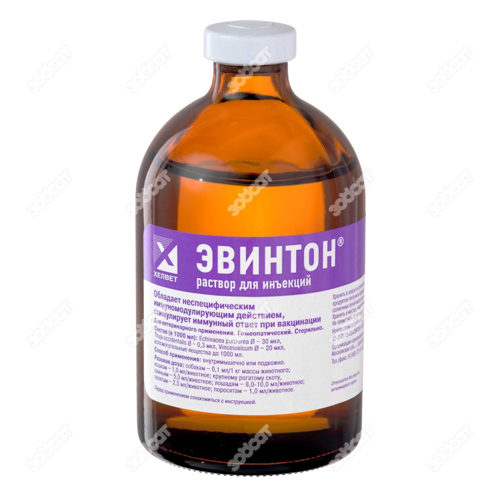 Эвинтон  – иммуномодулятор для кошек