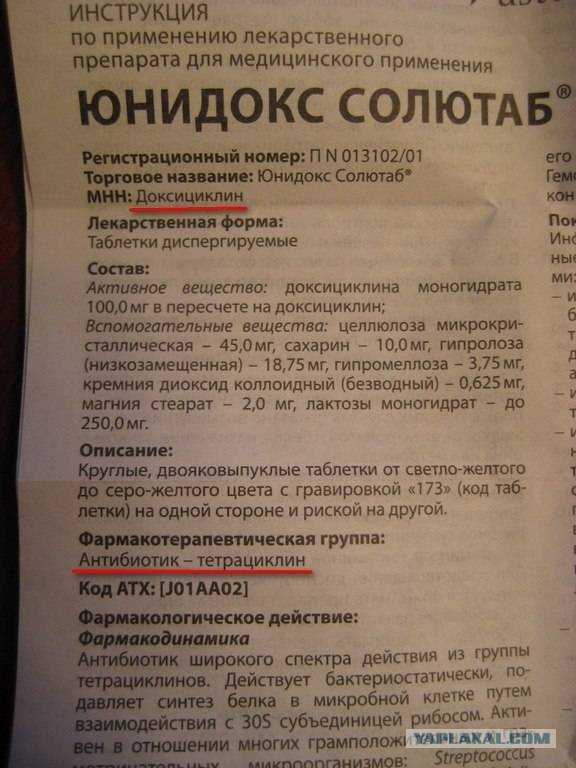 Юнидокс солютаб для котов