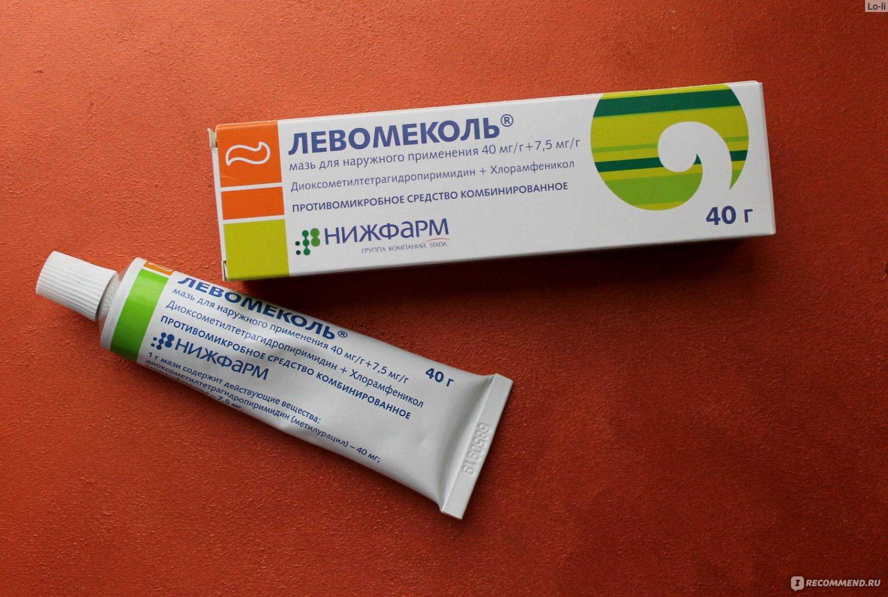 Раны у кота: их виды и способы обработки