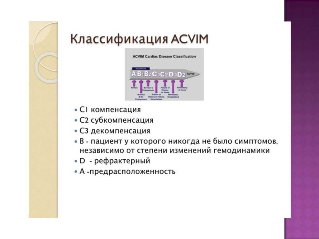 Эндокардиоз митрального клапана у собак — ветеринарный центр доктора новичихиной а.в. в череповце