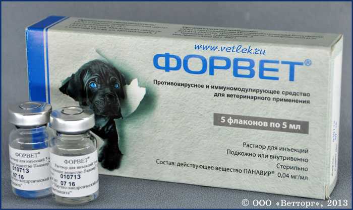 Форвет для кошек