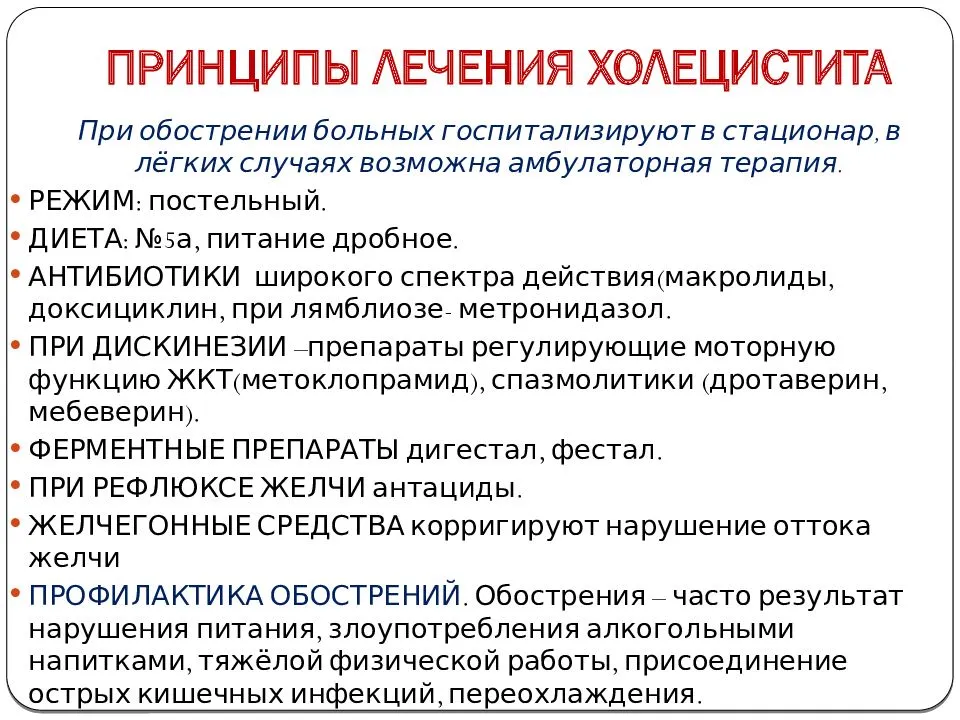 Лечение гепатита и холецистита у собак