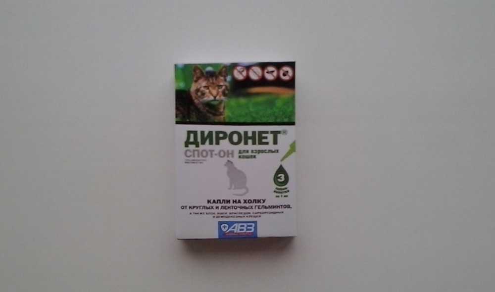 Диронет для кошек: спот-он, инструкция по применению