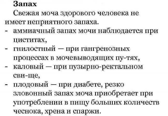 Если моча кота пахнет аммиаком — причины, чем это опасно и что делать | кот и кошка