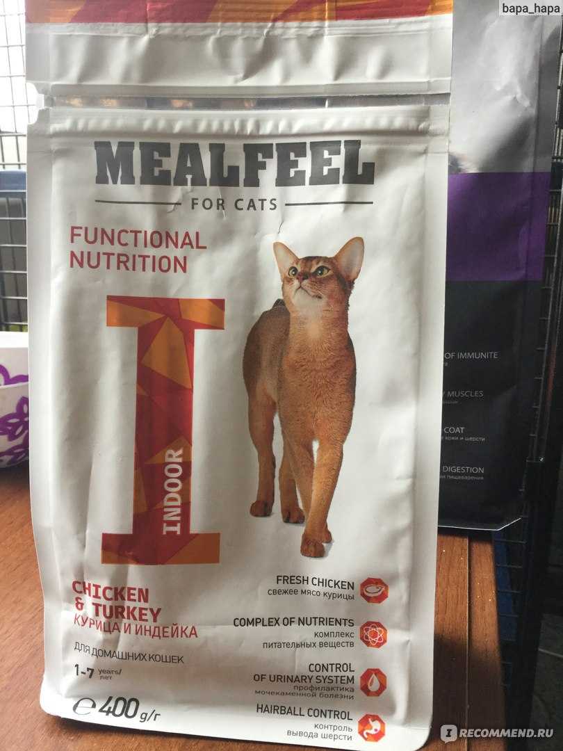 Mealfeel – корм для кошек и котят: состав и разновидности, примерная стоимость