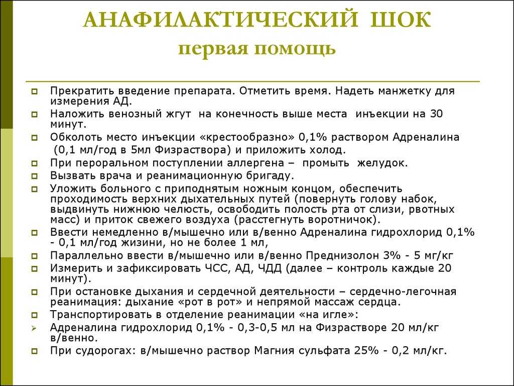 Кома у кошек - причины и прогноз