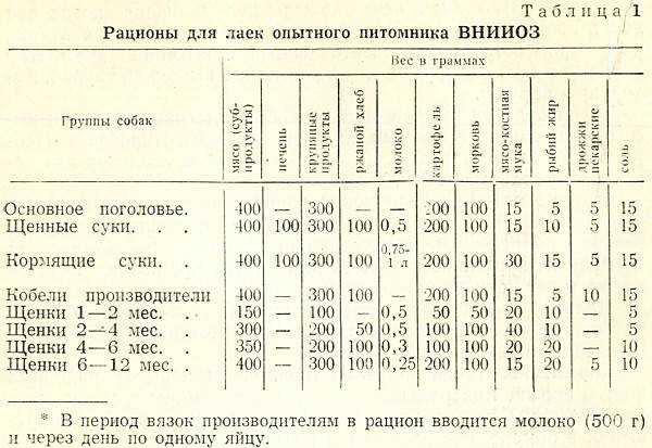 Как выкормить новорождённого щенка