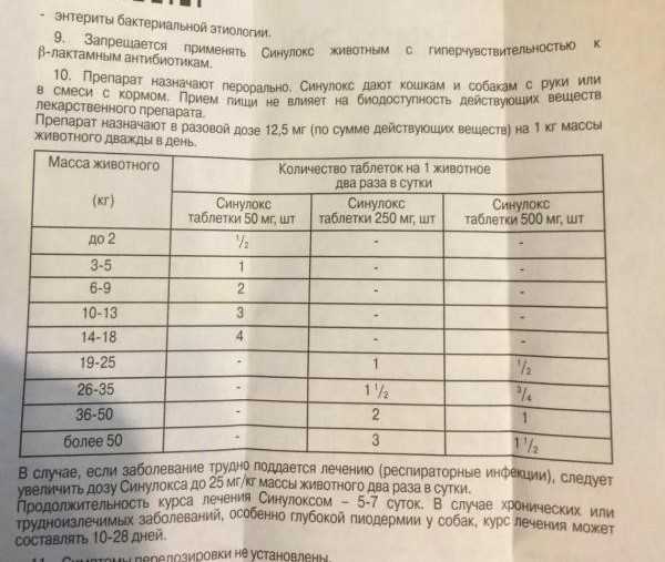 Синулокс для кошек (таблетки, суспензия): пошаговая инструкция и показания к применению