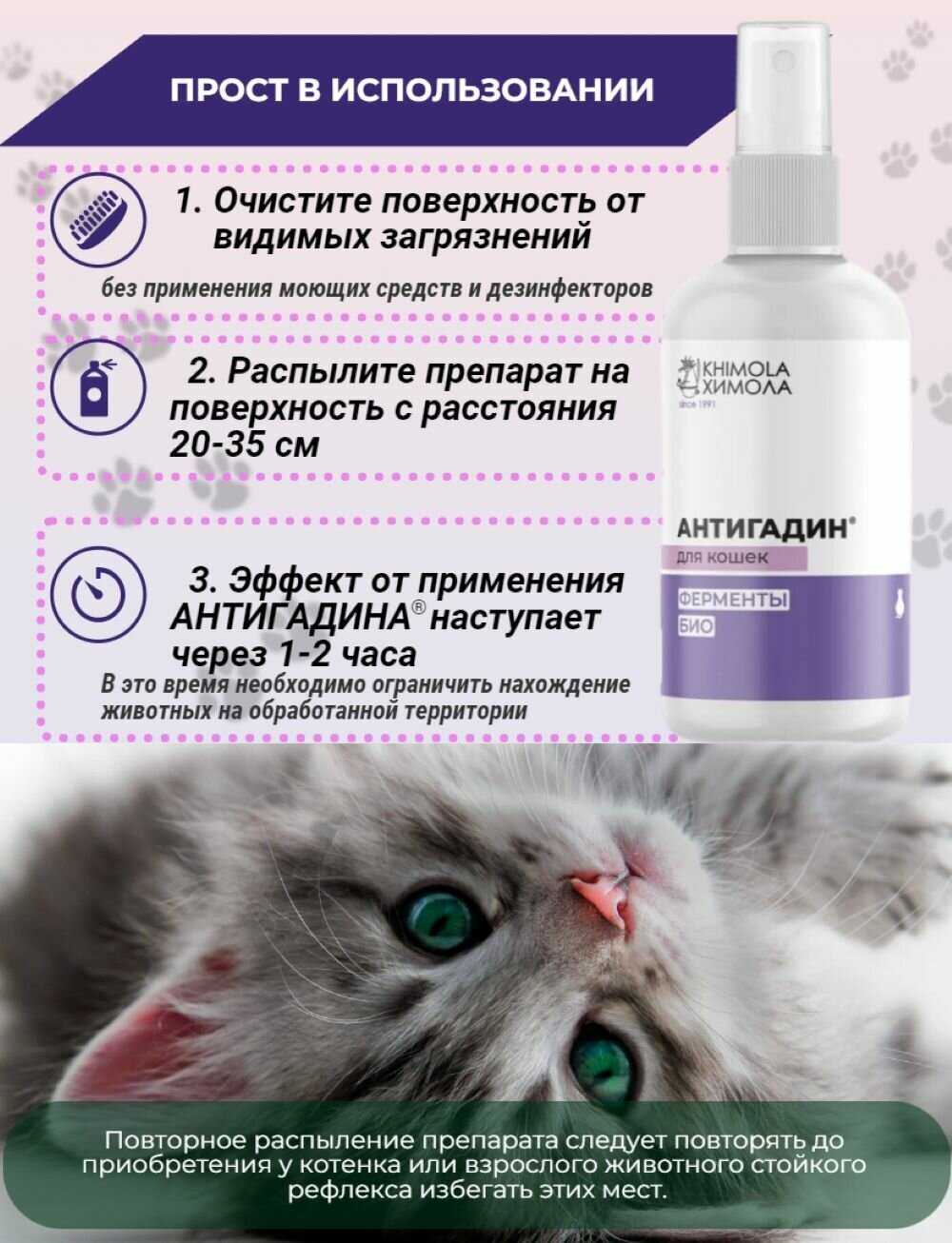 Как отучить кота драть мебель, обои, шторы и другие вещи в доме