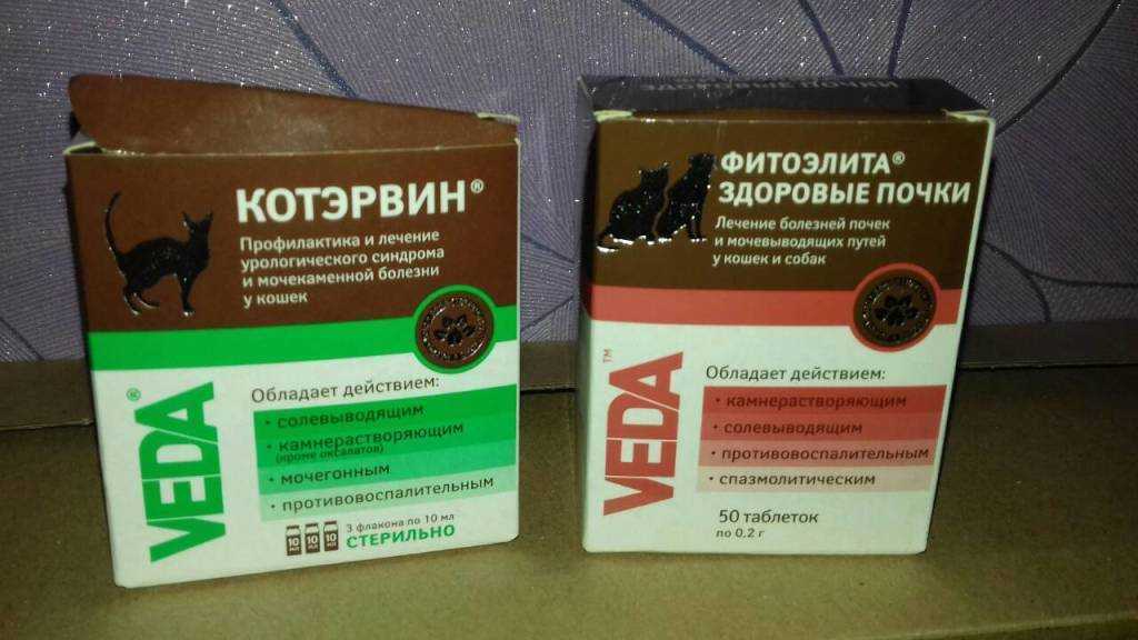 Фитоэлита здоровые почки для кошек: инструкция по применению таблеток, свойства препарата