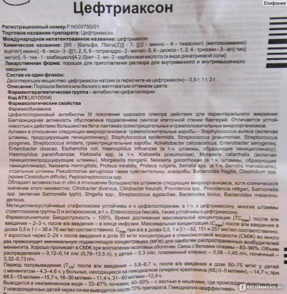 Цефтриаксон кошкам дозировка для лечения