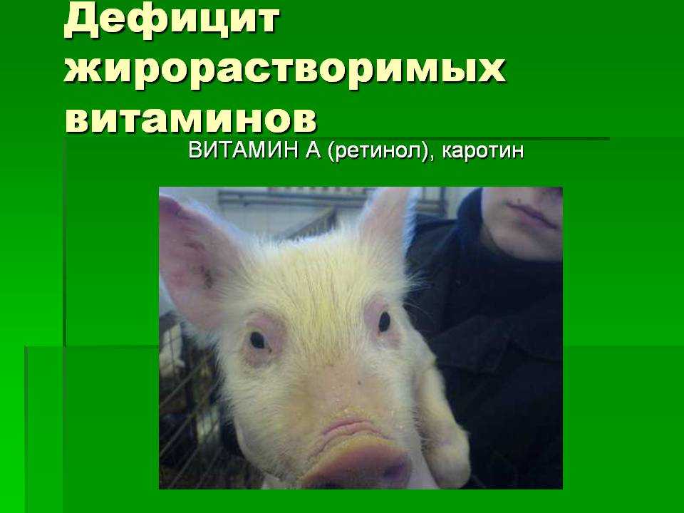Авитаминозы и гиповитаминозы