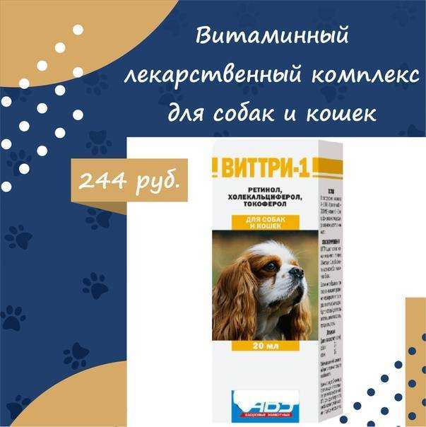 Витамины для кошек 8 в 1 - дозировки и побочные эффекты