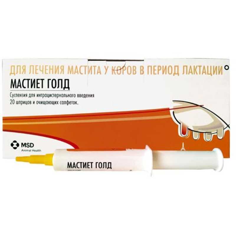 У кошки мастит: как лечить заболевание в домашних условиях, лекарства и народные средства