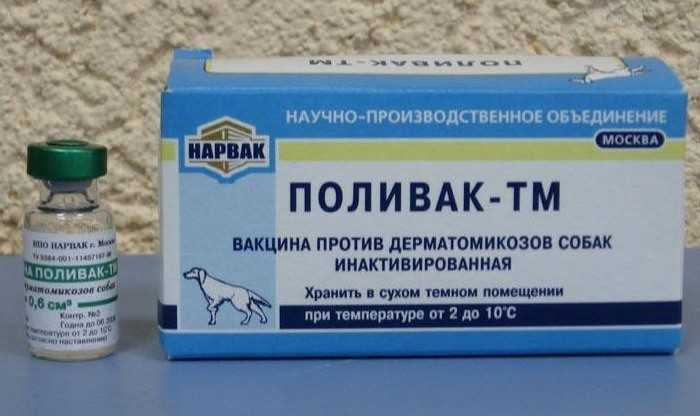 Поливак для кошек. «поливак-тм»: от чего помогает, как применять для кошек грибковые заболевания кошек и собак