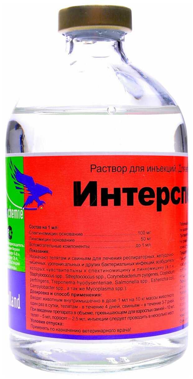 Антибиотики для кошек: виды, польза и побочные действия
