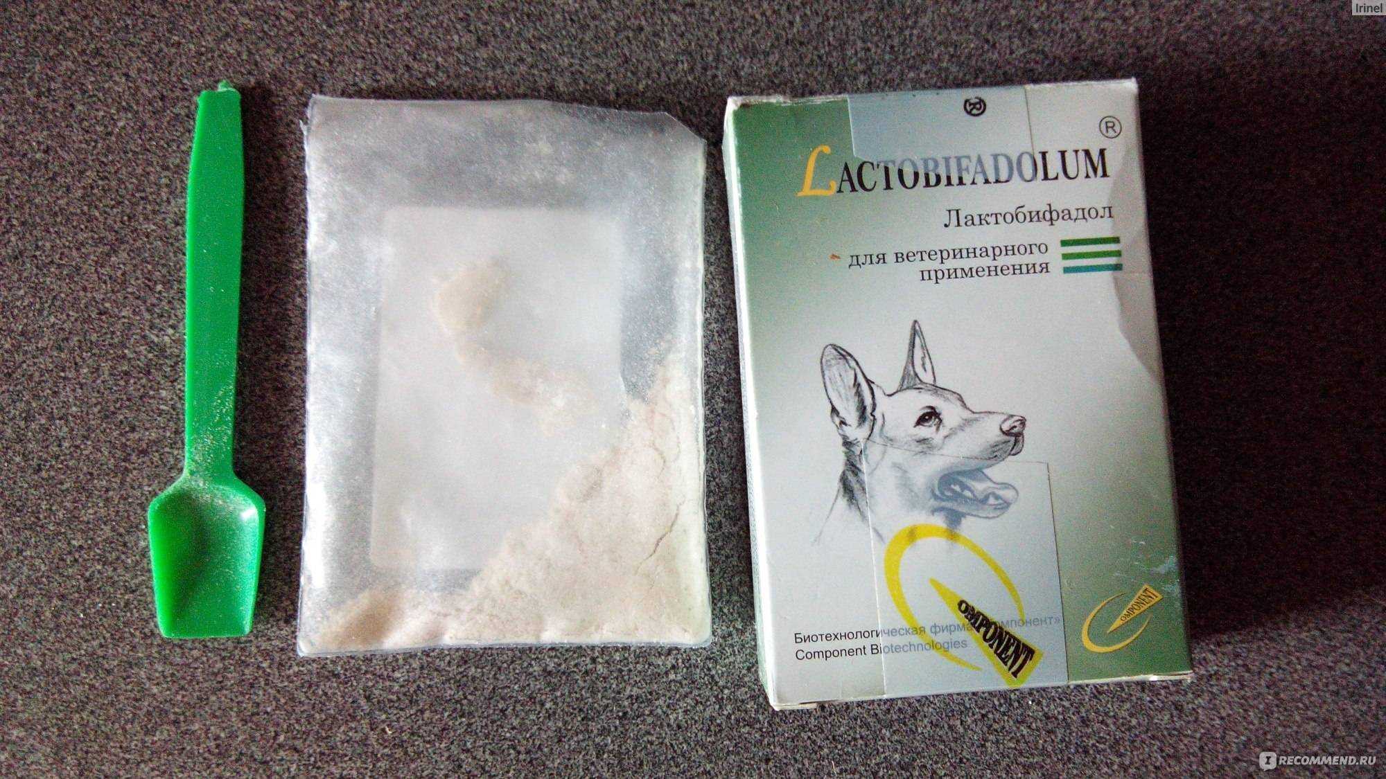 Лактобифадол для кошек: инструкция по применению ветеринарного препарата, аналоги, отзывы