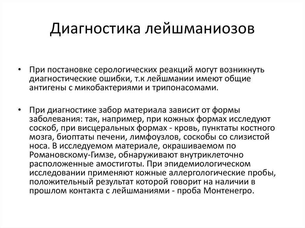 Лейшманиоз у собак — подробно об опасном заболевании