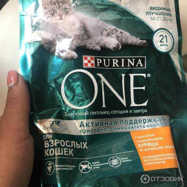 Purina корм для кошек: 5 популярных видов, отзывы