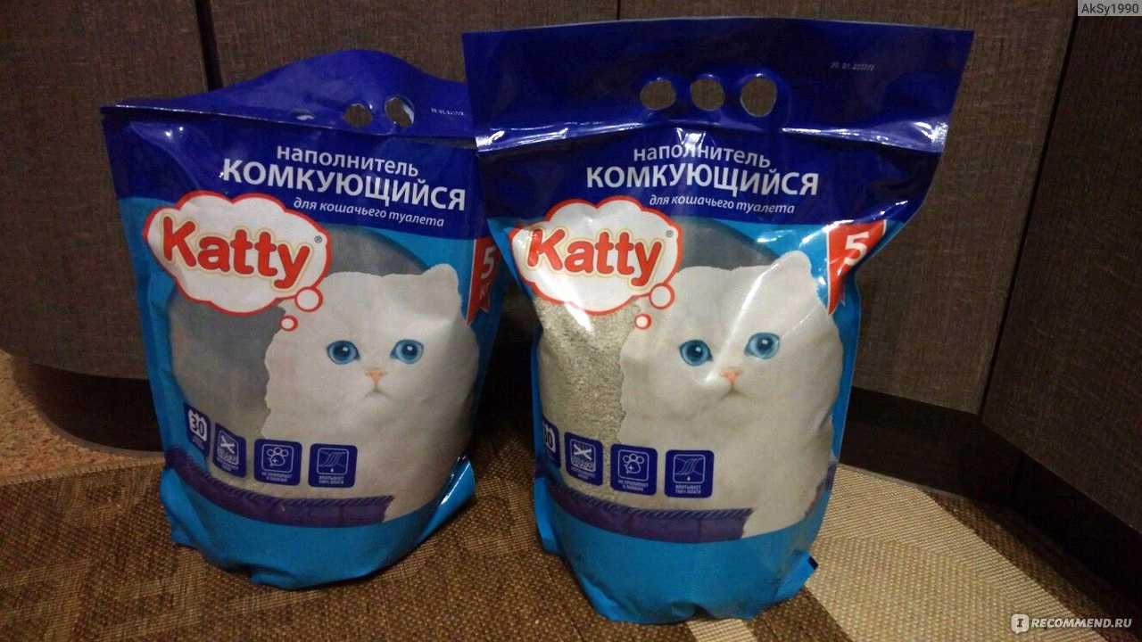 Кот отравился наполнителем для туалета