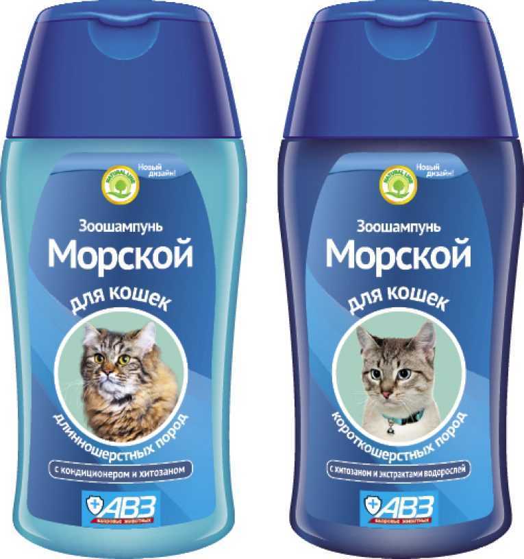 Шампунь от блох для кошек и котят: какой лучше выбрать, эффективно ли это?