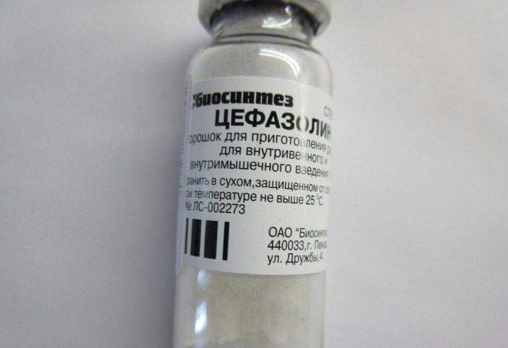 Цефазолин сколько дней колоть кошке. цефазолин для кошек