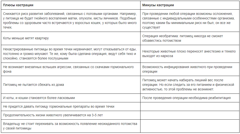 Кот после кастрации